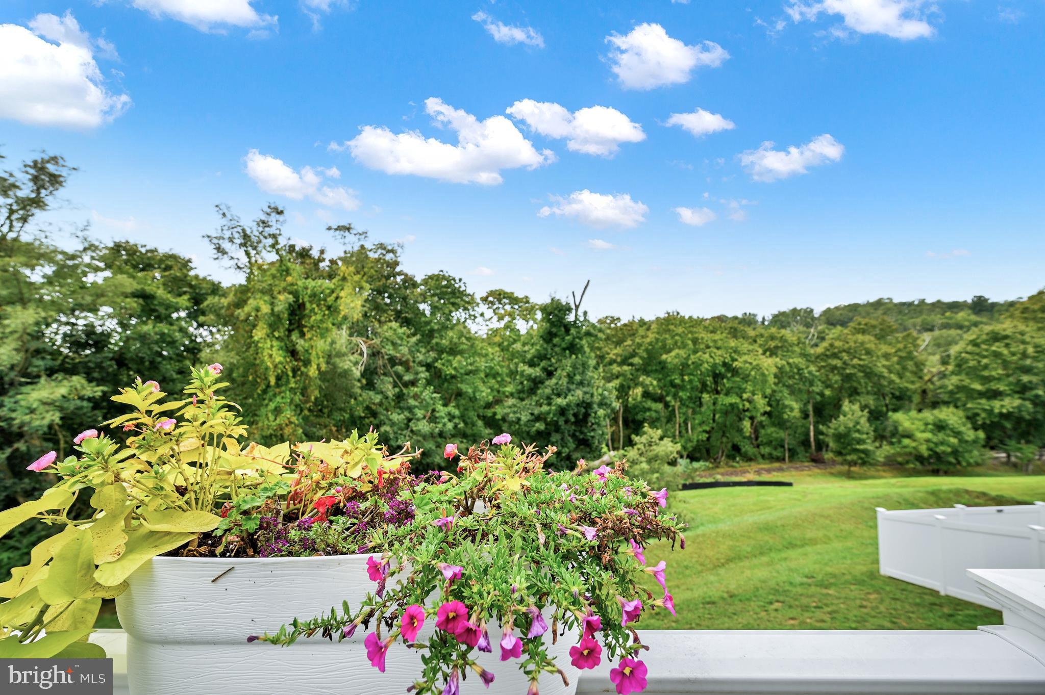 BRIDGEVIEW - Residential