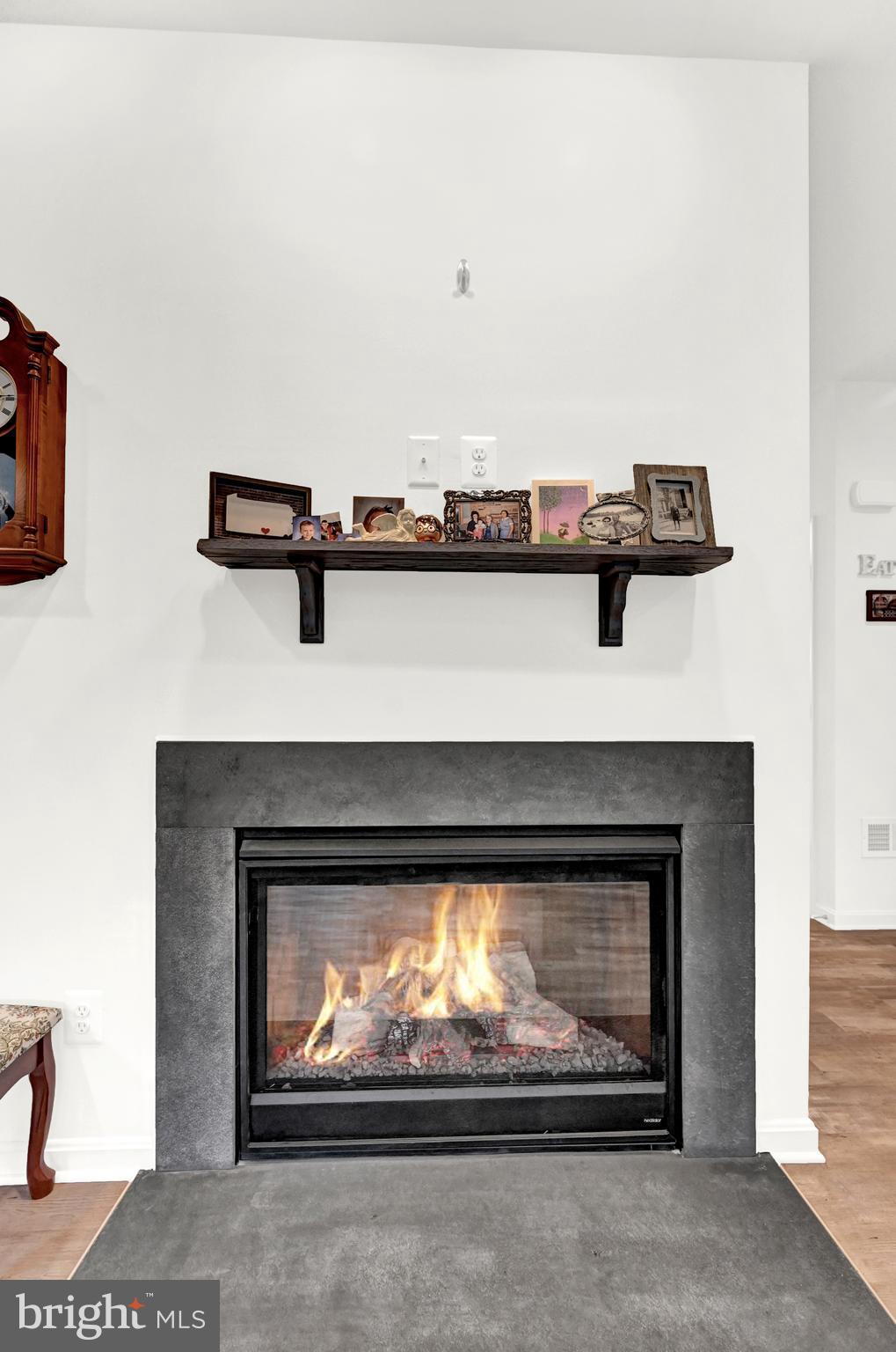 BRIDGEVIEW - Residential