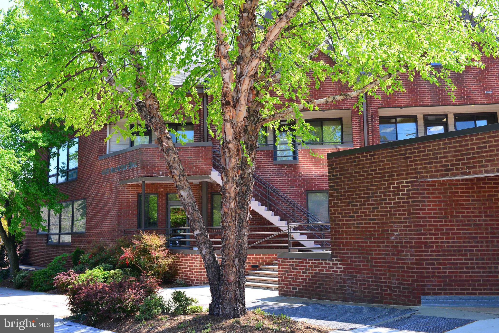 4400 MACARTHUR BOULEVARD NW 100