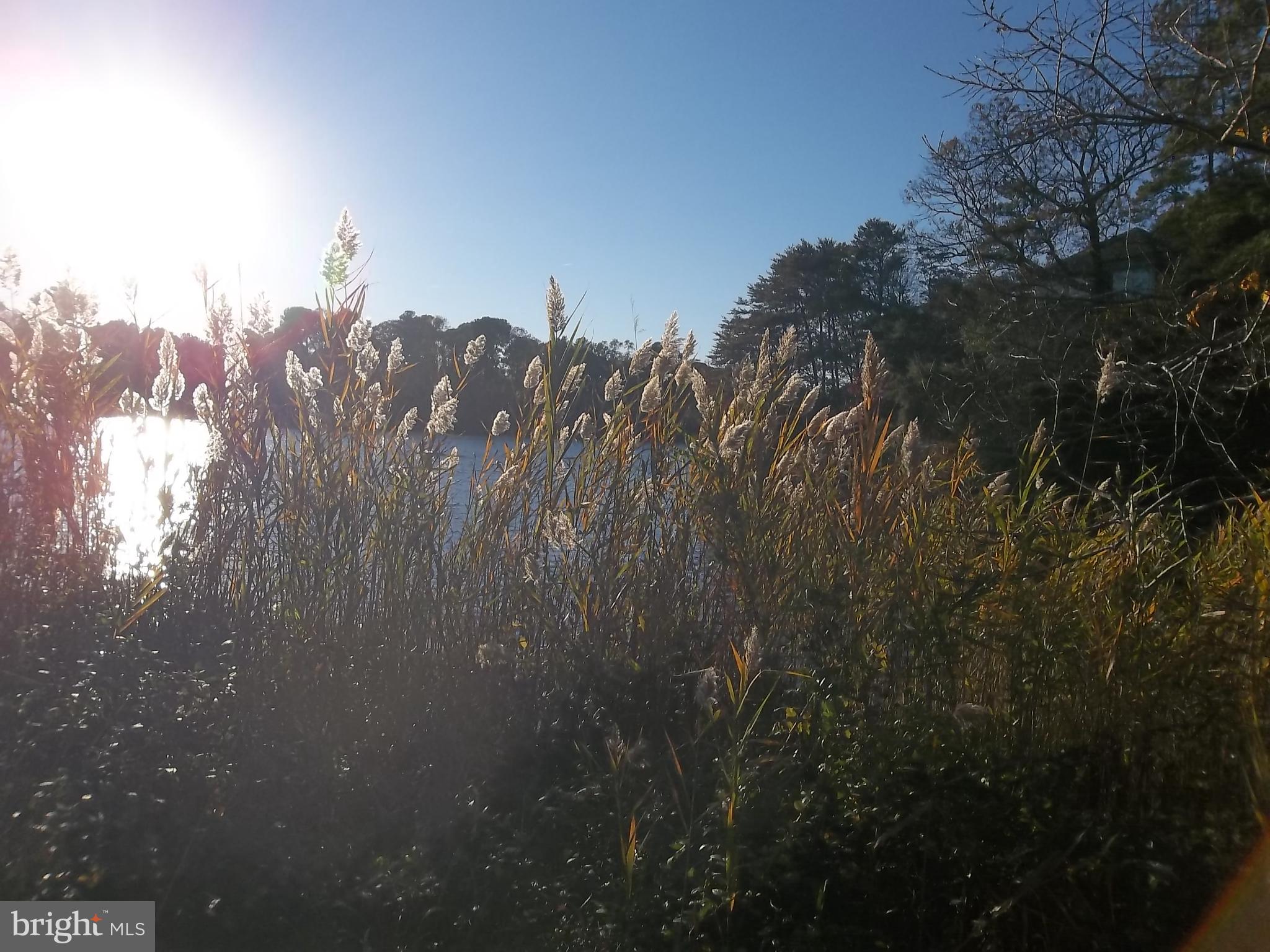 DRUM POINT - Residential