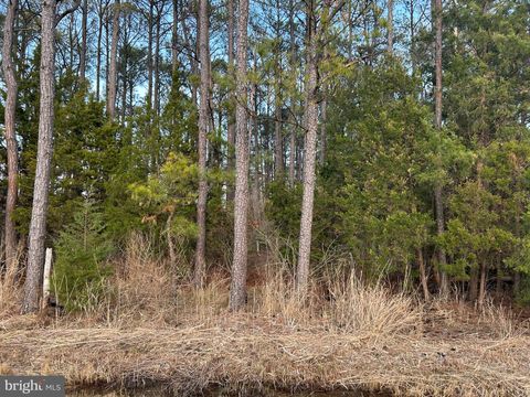 CASSONS NECK- SEABREEZE COURT CAMBRIDGE MD 21613