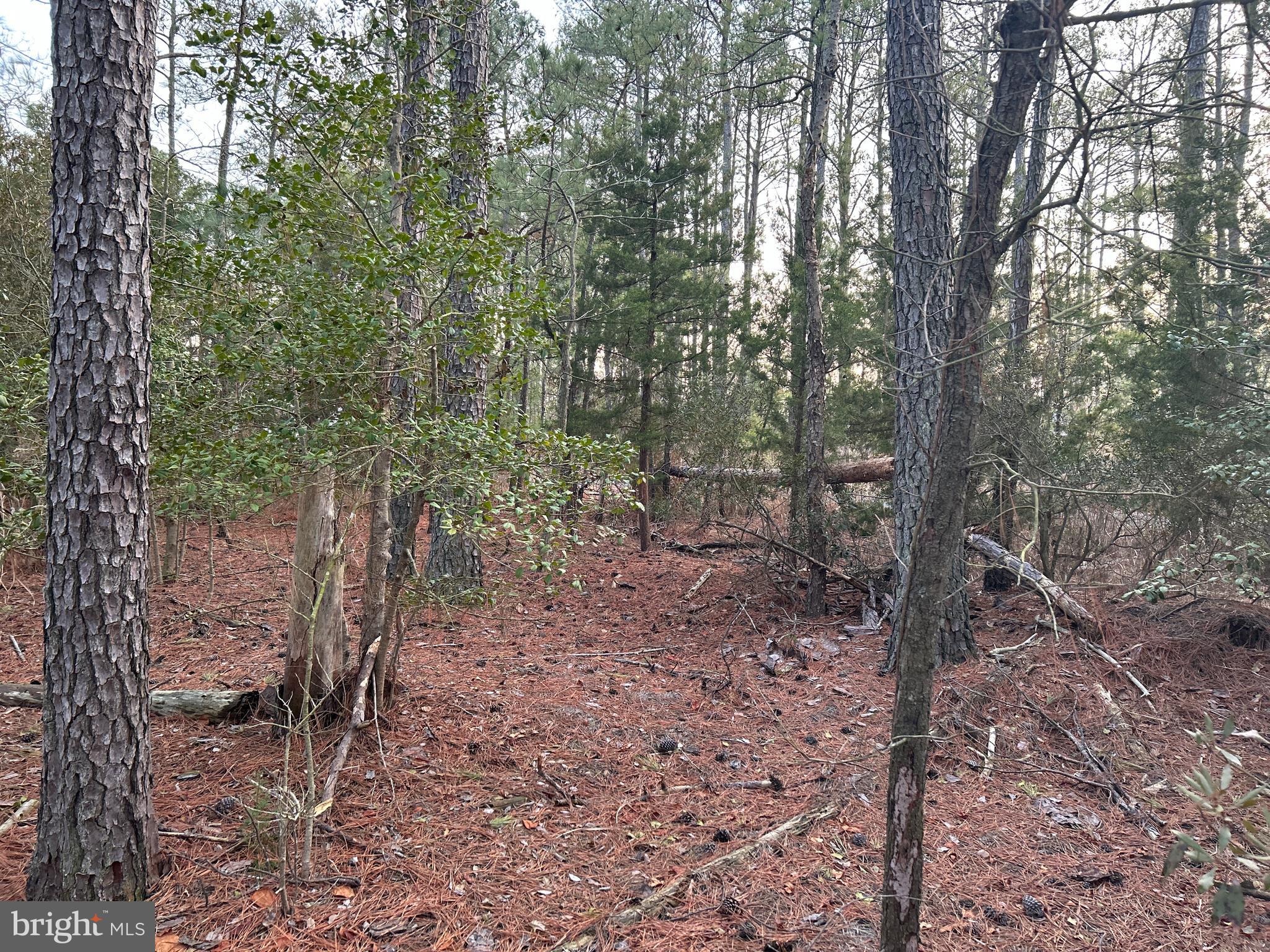 CASSONS NECK- SEABREEZE COURT