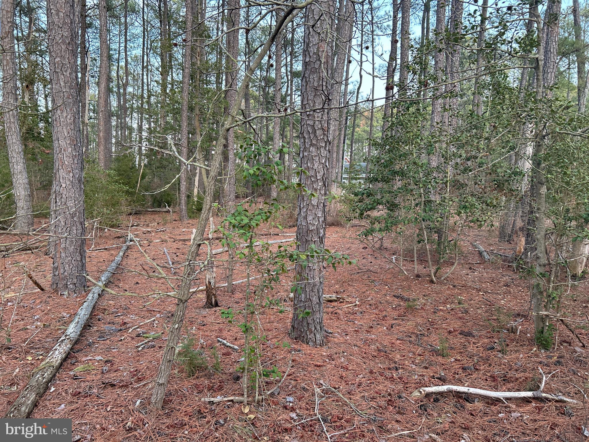 CASSONS NECK- SEABREEZE COURT