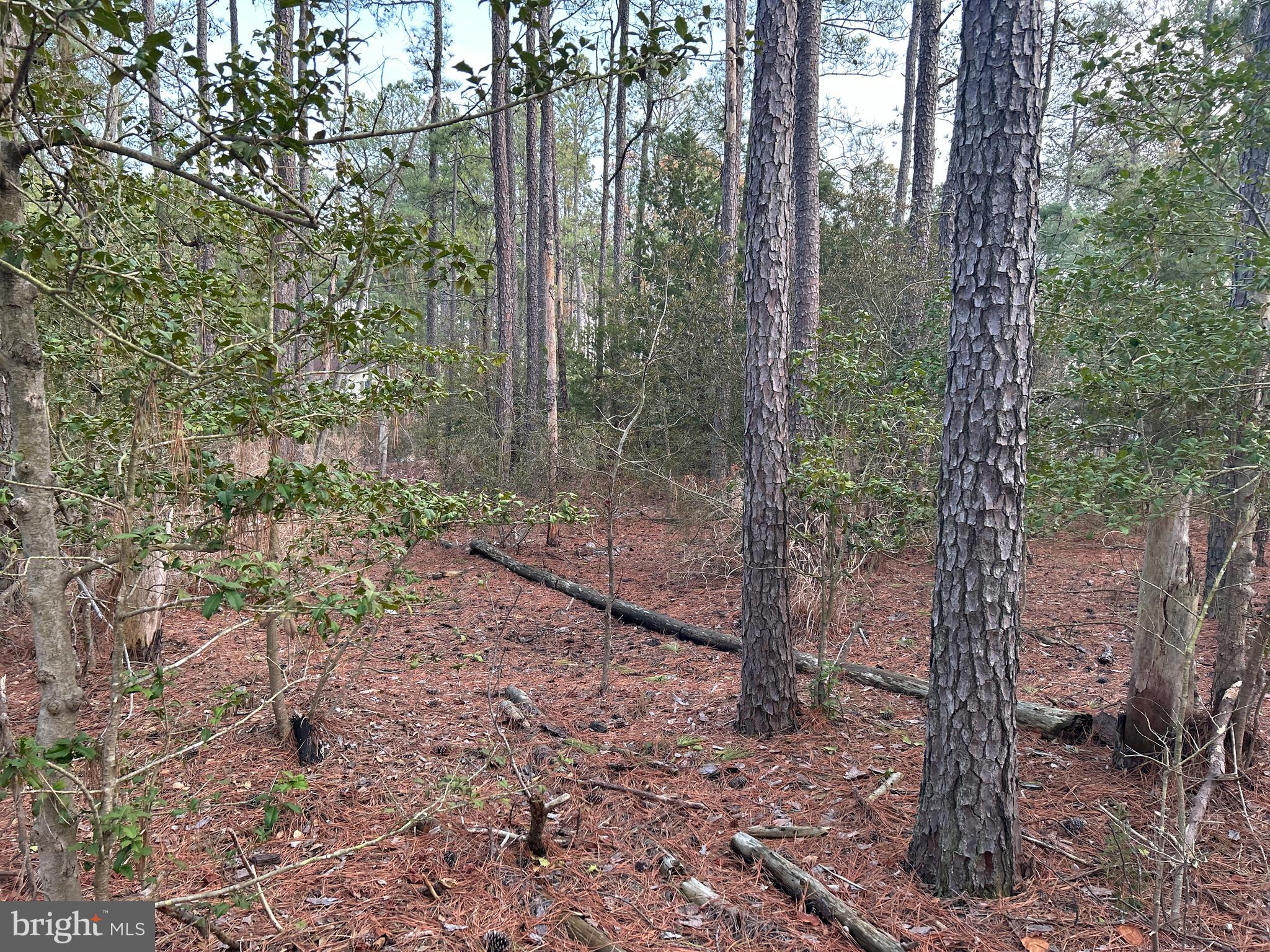 CASSONS NECK- SEABREEZE COURT