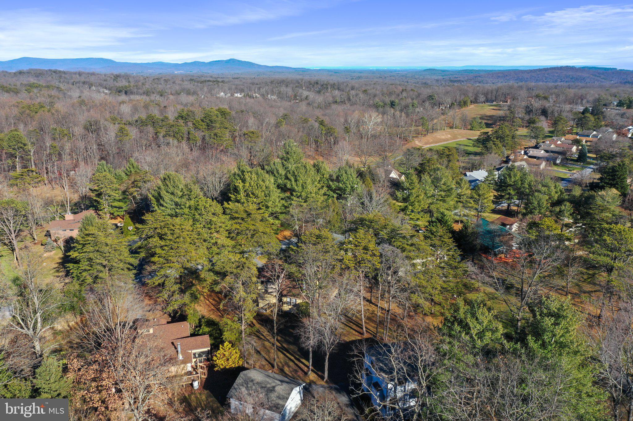 THE WOODS - Residential