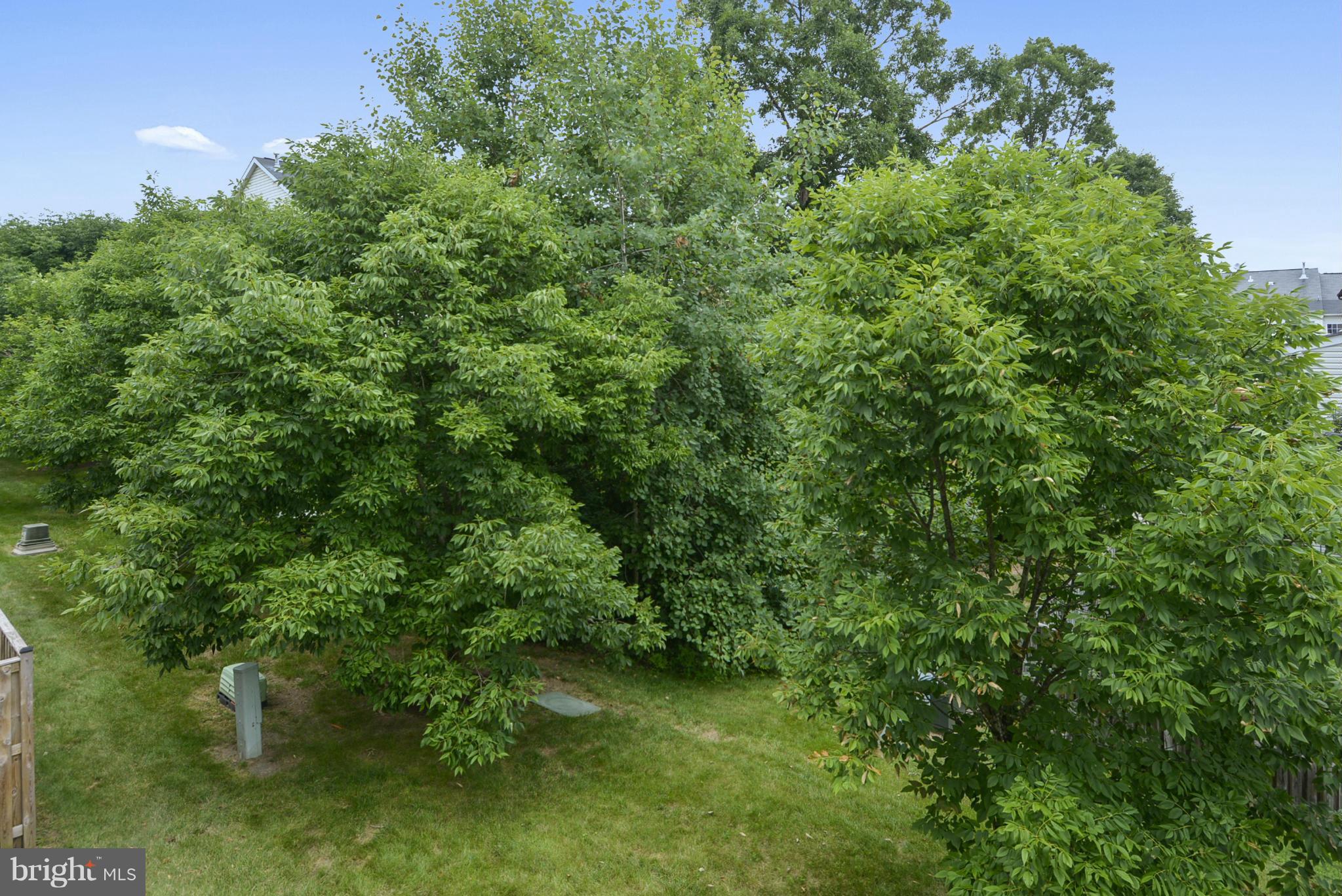 BRAEMAR - Residential