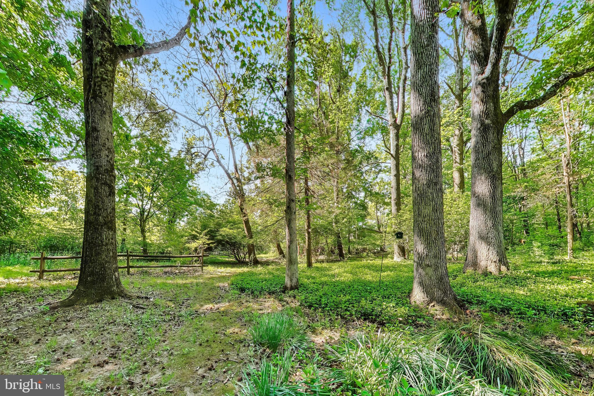 CROOM ACRES - Residential