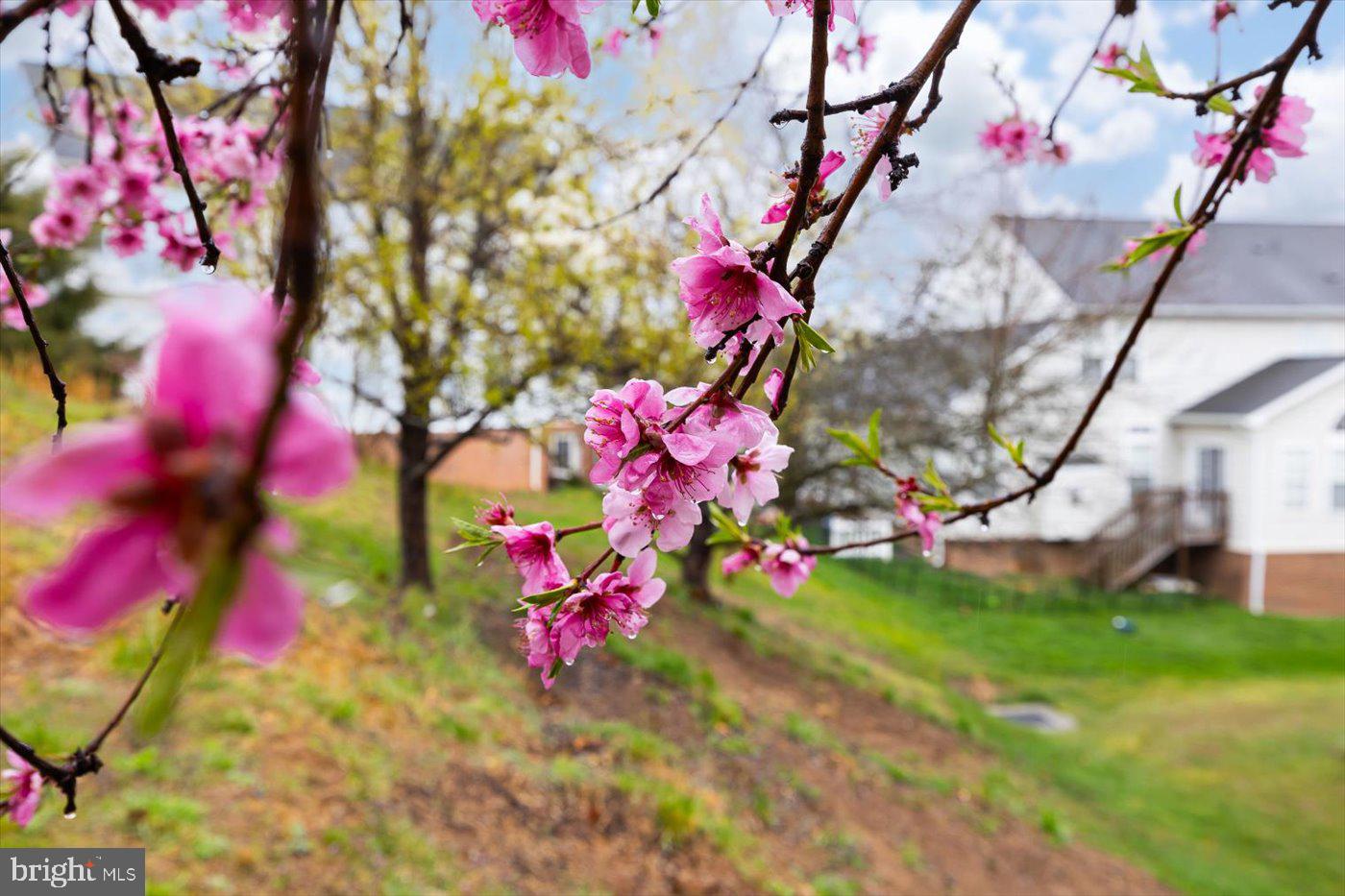 COUNTRY CLUB ESTATES - Residential
