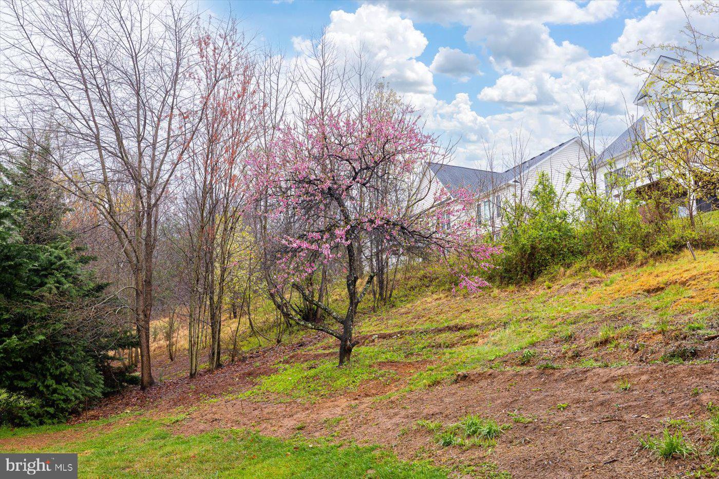 COUNTRY CLUB ESTATES - Residential