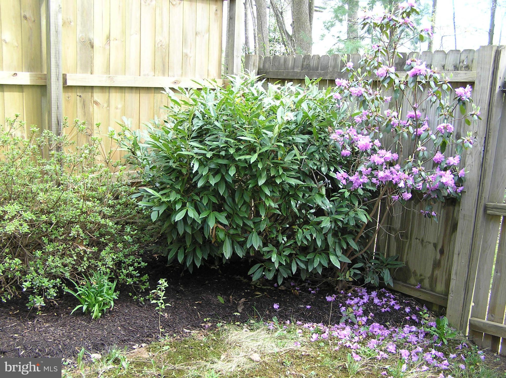 BURKE CENTRE CONSERVANCY - Residential Lease