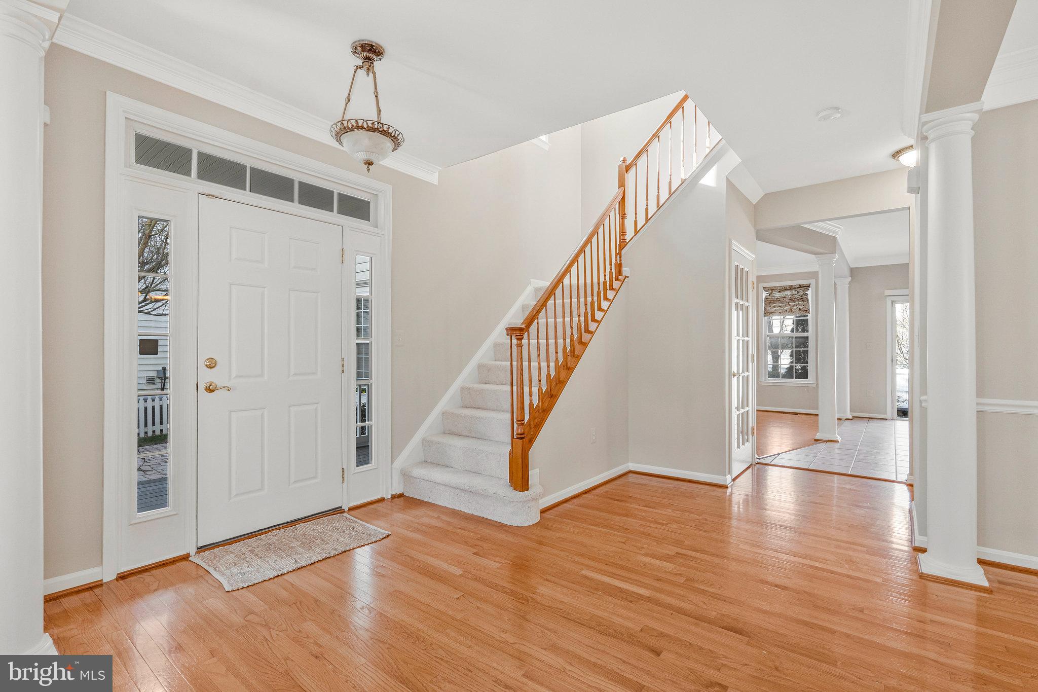 BELMONT GREENE - Residential