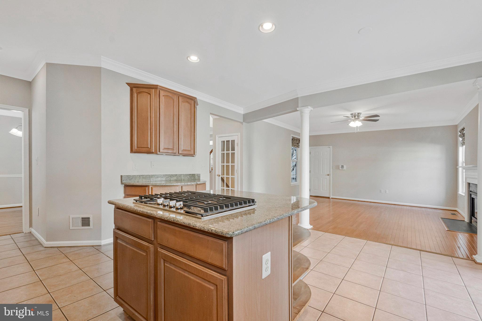 BELMONT GREENE - Residential