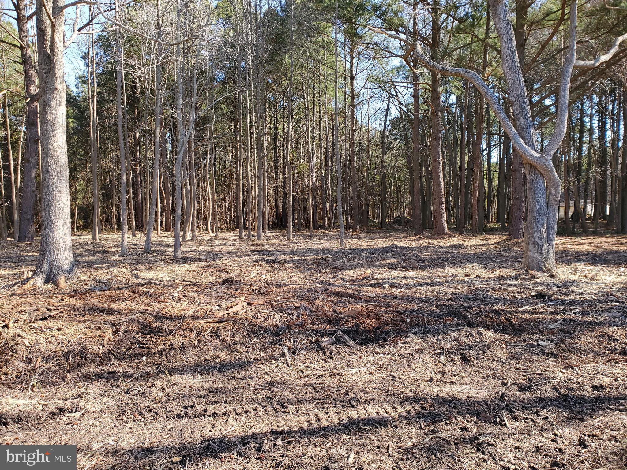 CEDAR LANDING SEC 2 - Land