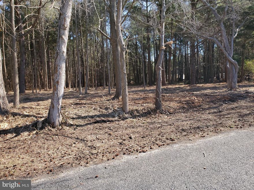 Great lot in very nice subdivision.  Perc on record.  Buyers should check with Somerset County Planning and Zoning and Somerset County Health Department concerning building permit questions.  Buyer will consider all reasonable offers.