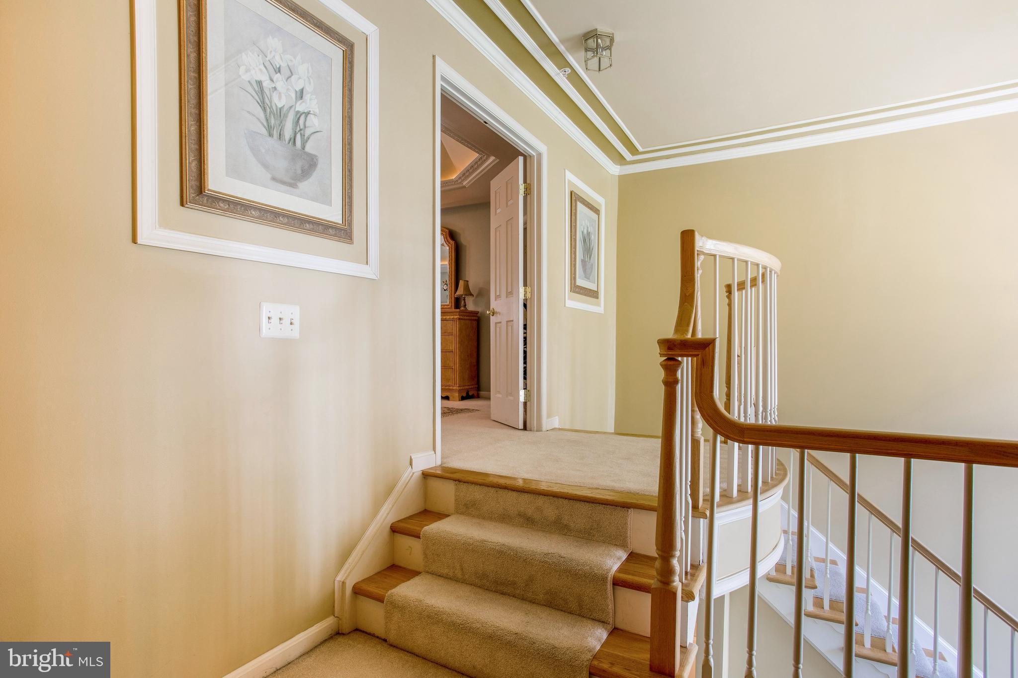 CHELTENHAM WOODS - Residential