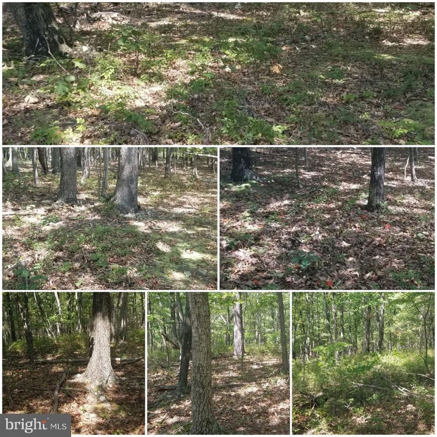 Here's your chance to own your own piece of Almost Heaven West Virginia!  Great 2.95 acre building lot, 1 mile off of hard capped road. Wooded & Private. Some mature timber. Additional lots available.