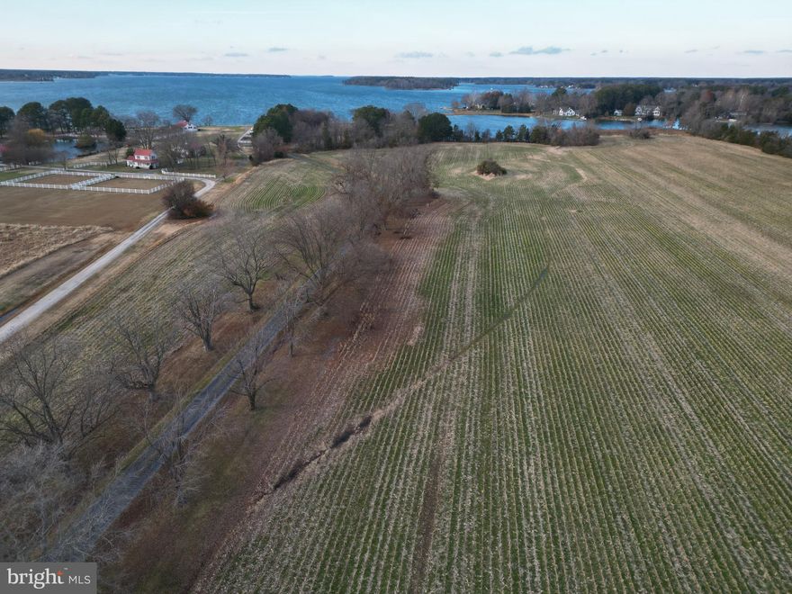 Generational Waterfront Farm. Magnificent Building site on the Miles River on 50+ acres. Private tree-lined driveway passing through productive fields, mature evergreen and deciduous trees. There is a brick cape cod on the property and an outbuilding that should be considered a footprint for future development. Existing well, pier and bulkhead area on the cove (Newcomb Creek). Over 1500 of shoreline. 4 miles from St. Michaels and 5 miles from Easton. Incredible Sunrises and Sunsets, Remarkable true point of land with panoramic views, great waterfowl and deer hunting. Property includes large block of woods on other side of Rt 33 (approx.. 30+ acres). Owner has approval to be hooked up to public Sewer!