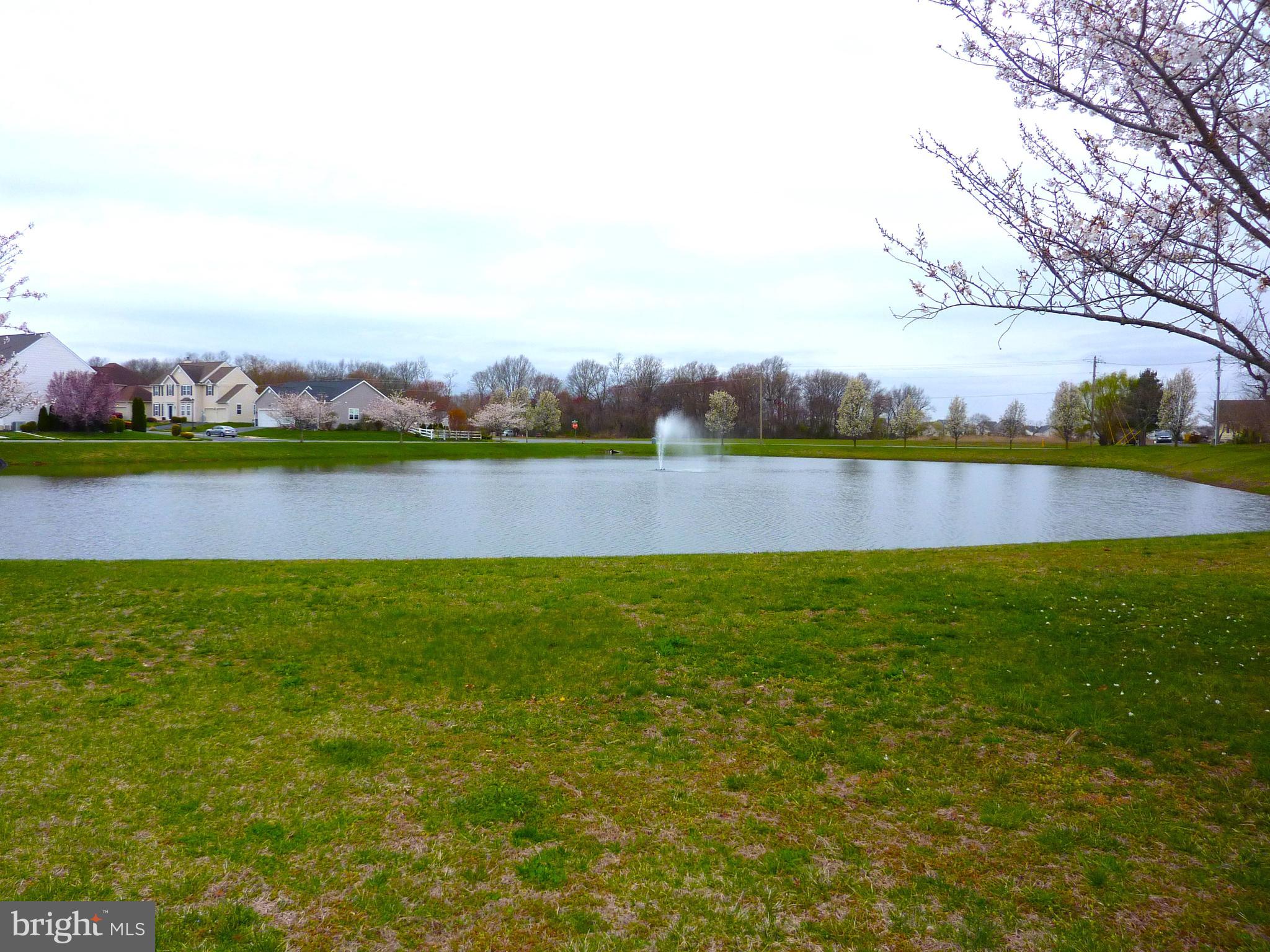 OLD COUNTRY FARMS - Residential
