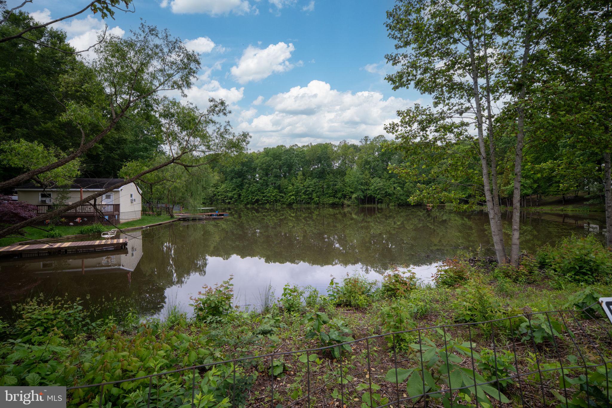 PLANTATION FOREST - Residential