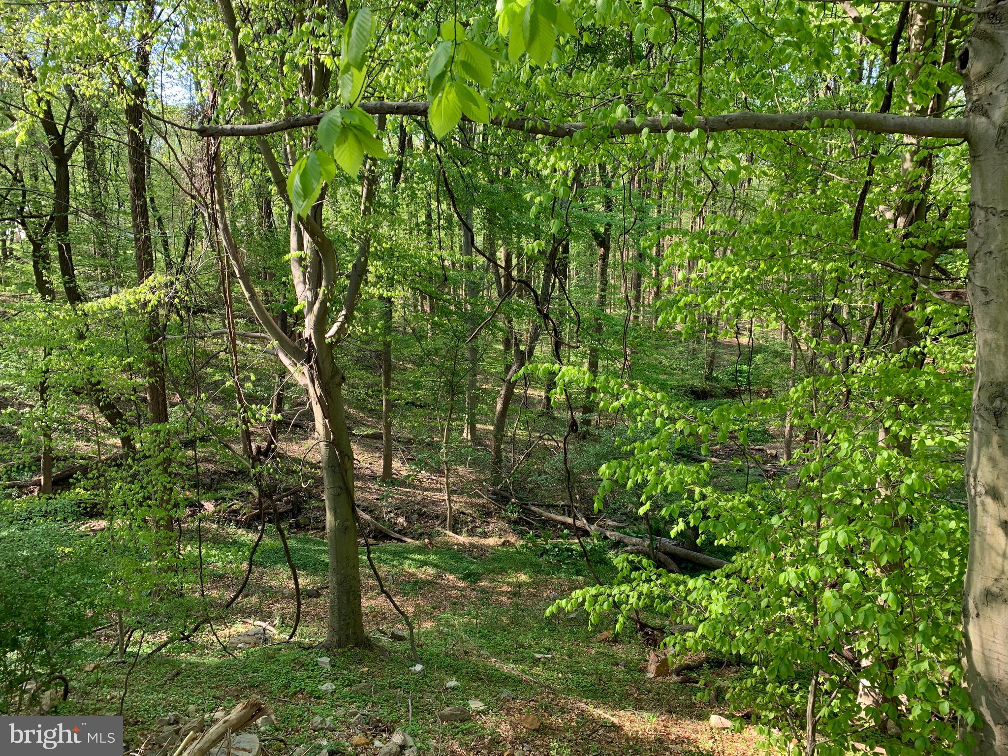 0 CEDAR GROVE ROAD CED