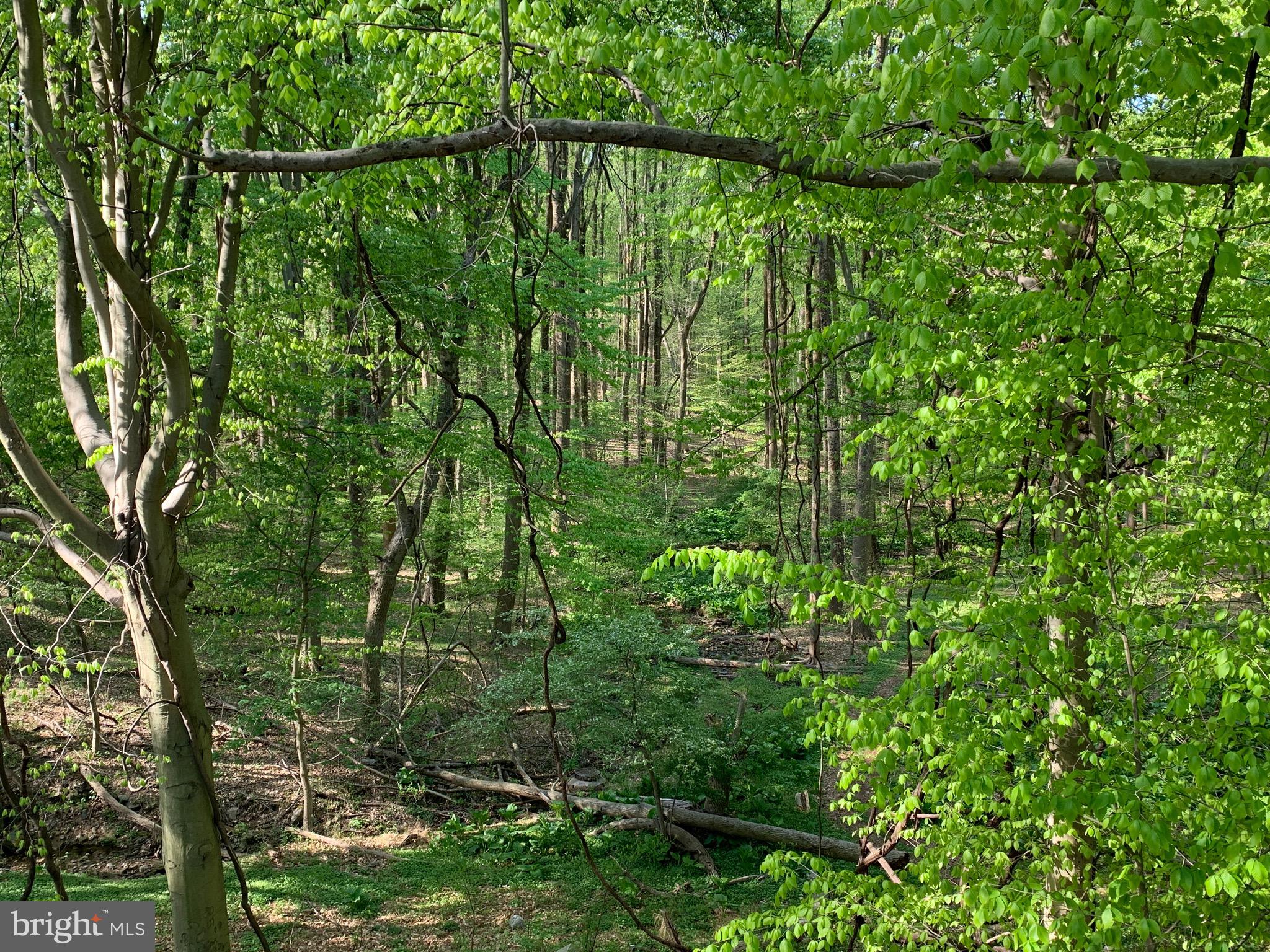 0 CEDAR GROVE ROAD CED