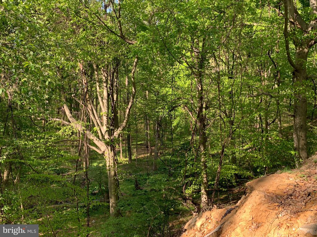 Photo of 0 - Ced Cedar Grove Road, BROOMALL, PA 19008 (MLS # PADE2106124)