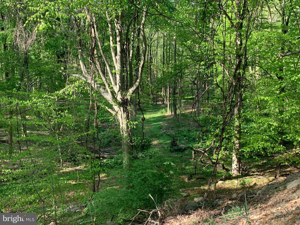 Photo of 0 - Ced Cedar Grove Road, BROOMALL, PA 19008 (MLS # PADE2106124)