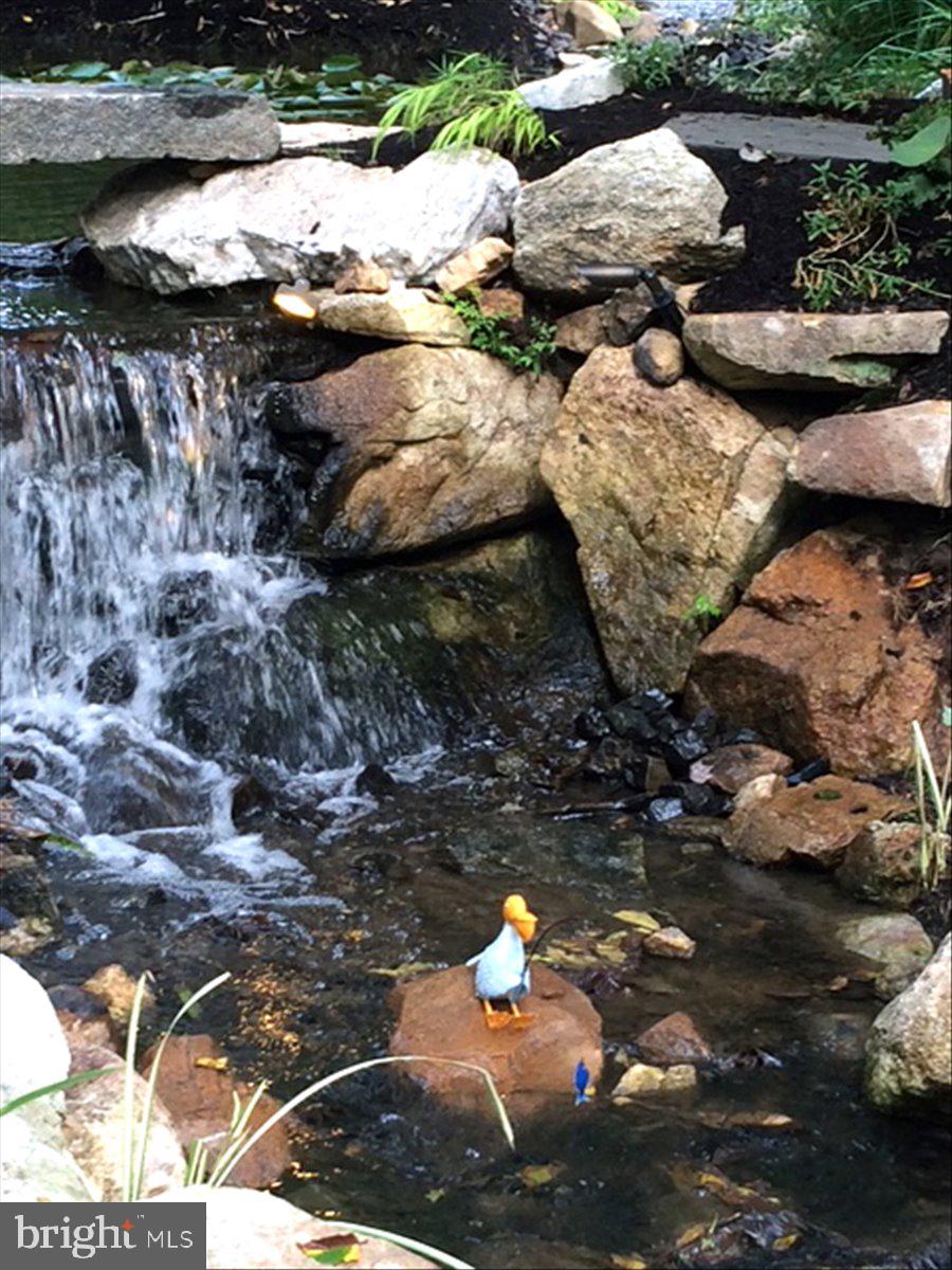 MARSHALL CREEK FAR - Residential