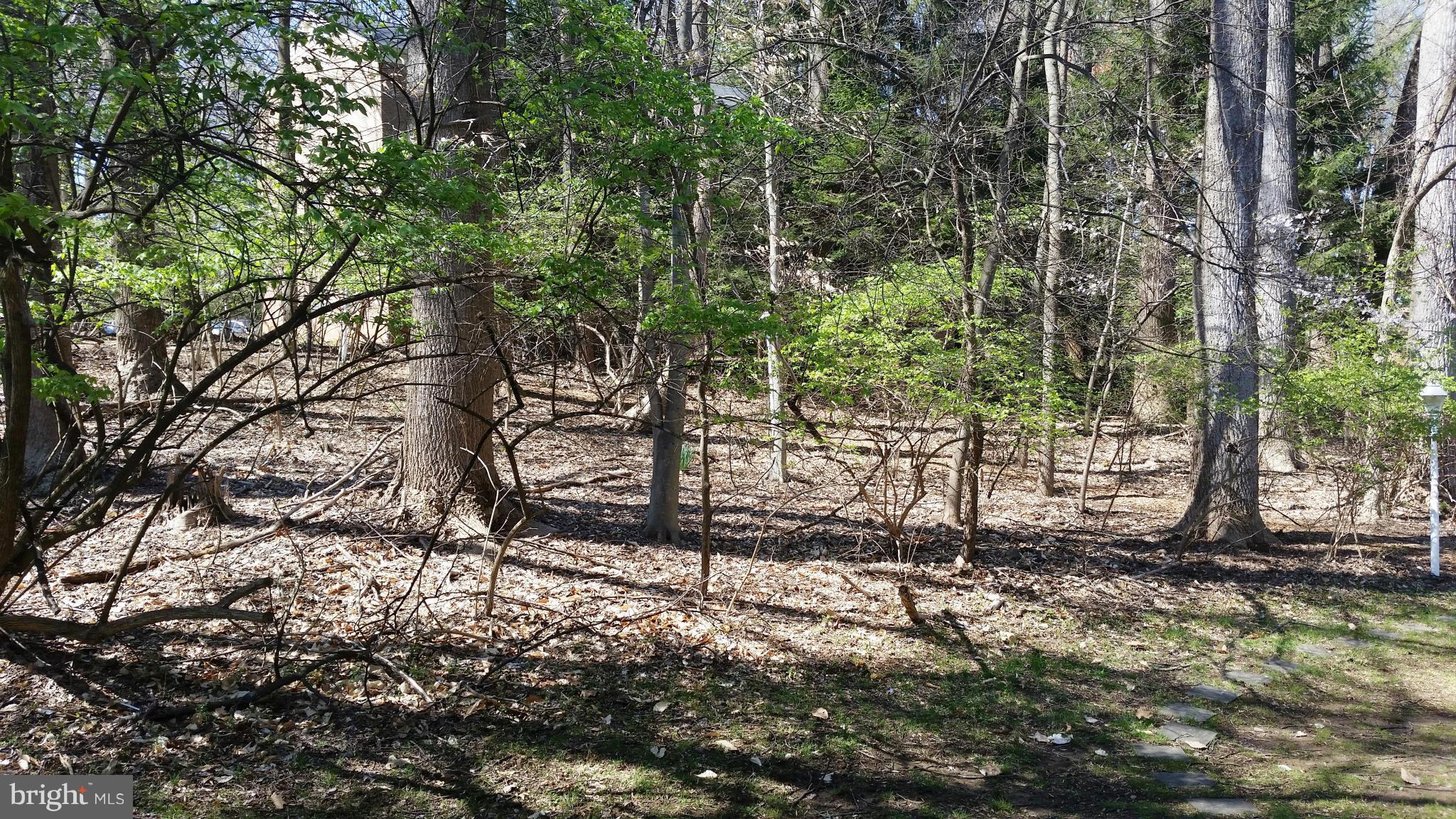 PARKSIDE CONDOMINIUMS - Residential Lease