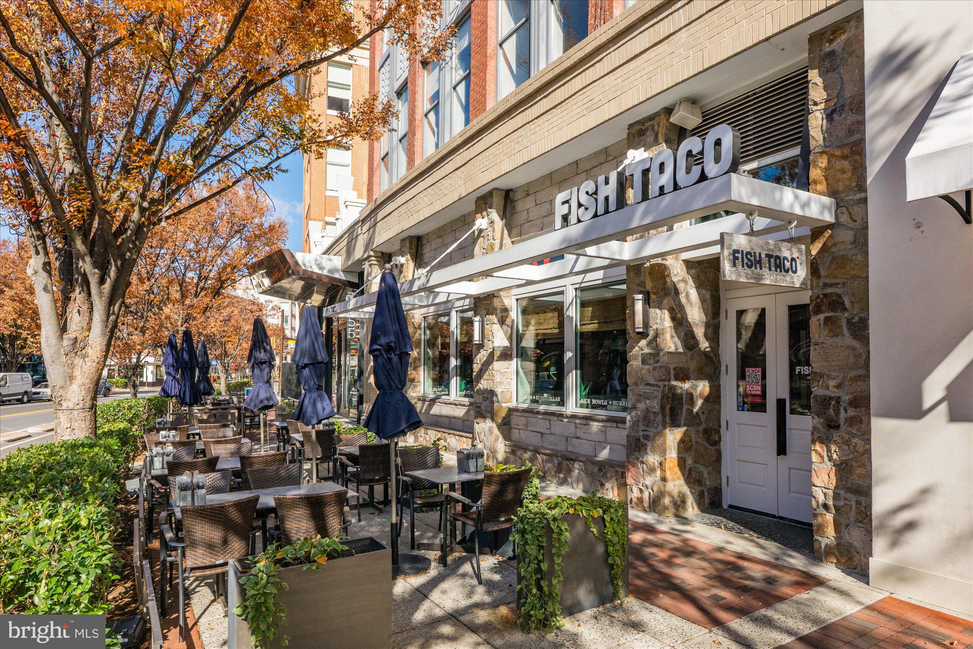HAMPDEN ROW - Residential