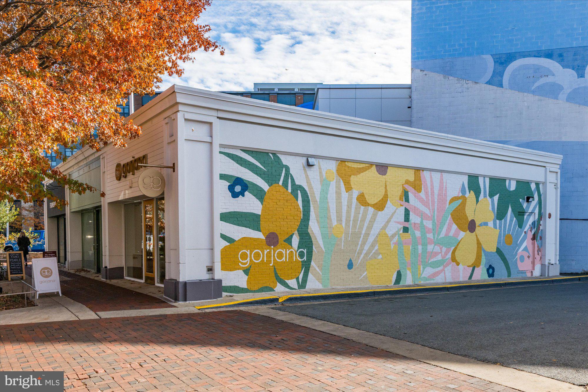 HAMPDEN ROW - Residential