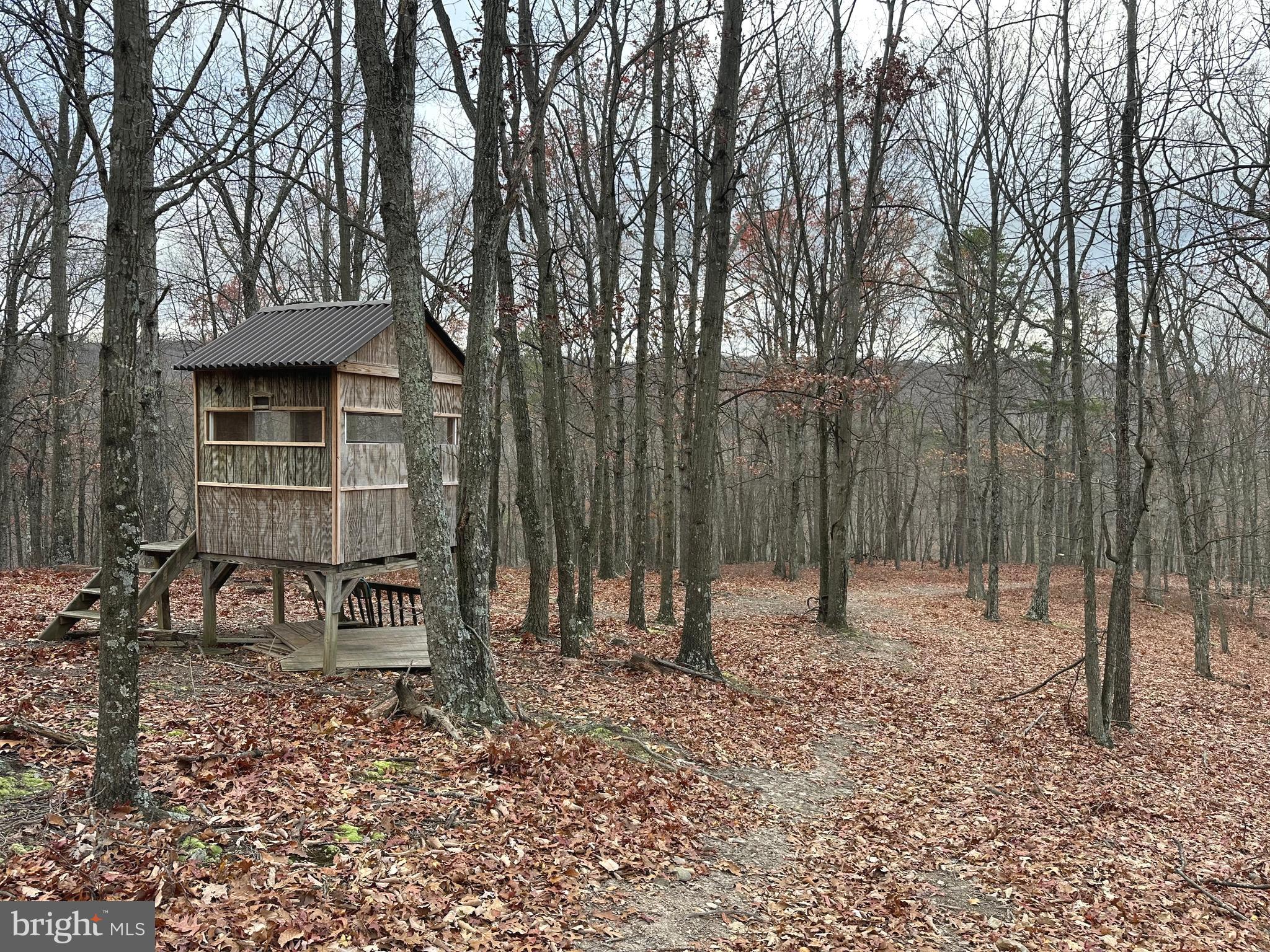 ASHTON WOODS - Residential