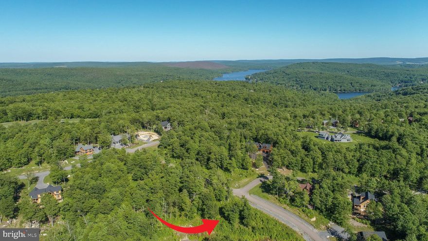 Build your dream home on one of the larger building lots available in the prestigious Biltmore Community.    Biltmore is a gated community adjacent to the Lodestone Golf course perfectly located minutes from Wisp Ski Resort and all Deep Creek Lake area ammenities including Fork Run hiking trails, Swallow Falls state park and  the  Adventure Sports Center International featuring a mandmade recirculating white water course.  This 1+ acre lot offers a beautiful natural setting atop a tranquil mountain top.   Perfect location for a full time residence or second home / vacation rental property!