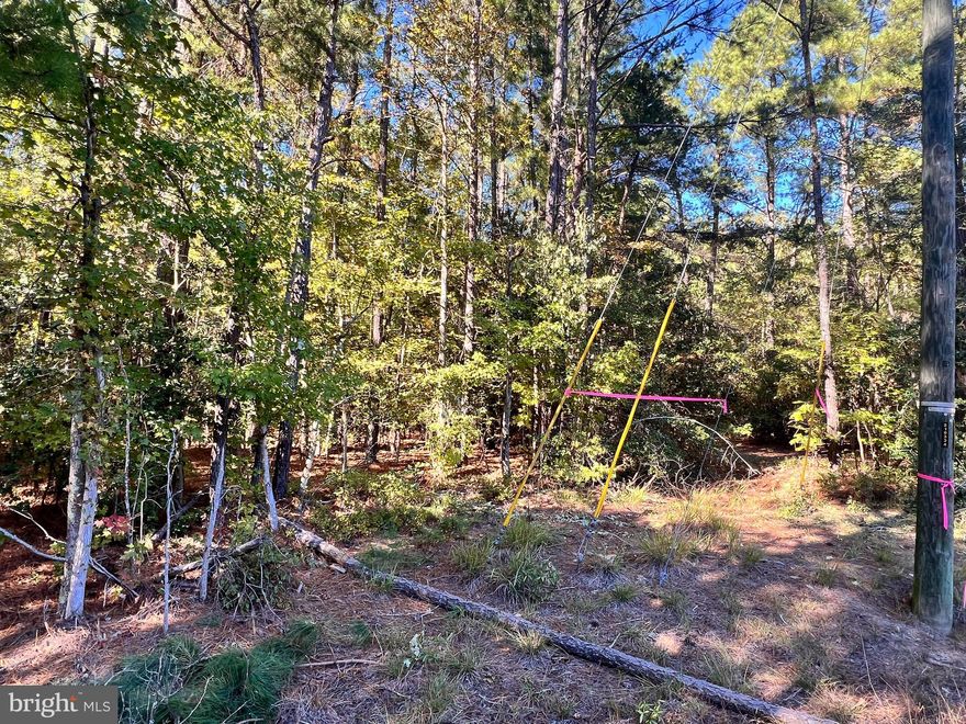 Vacant lot available for purchase allowing you to build your own dream home or if you choose, the owner already has permits in hand for the Riverside Model with a 1-car garage. Please contact Listing Agent for more information on the To Be Built Home.
Lot is flat and partially cleared making preparation to start construction much easier and faster!  Water and Sewer Tap Fees have been paid by the Seller and on record with the county.