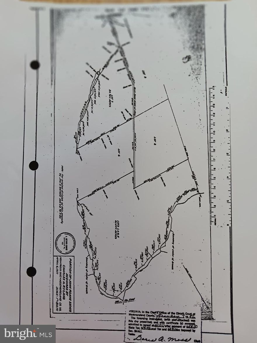 Seize the perfect opportunity to own this large 61+ acres wooded tract of land in Montross, VA, which offers a range of opportunities from building a private homestead to investment in timberland. If you enjoy hunting, the wooded acres have abundant wildlife, great for deer, duck, and turkey hunting. Just minutes from the charming town of Montross, and close to Colonial Beach & Fredericksburg. Only a 2-hour drive from Washington D.C., Zoned Agricultural