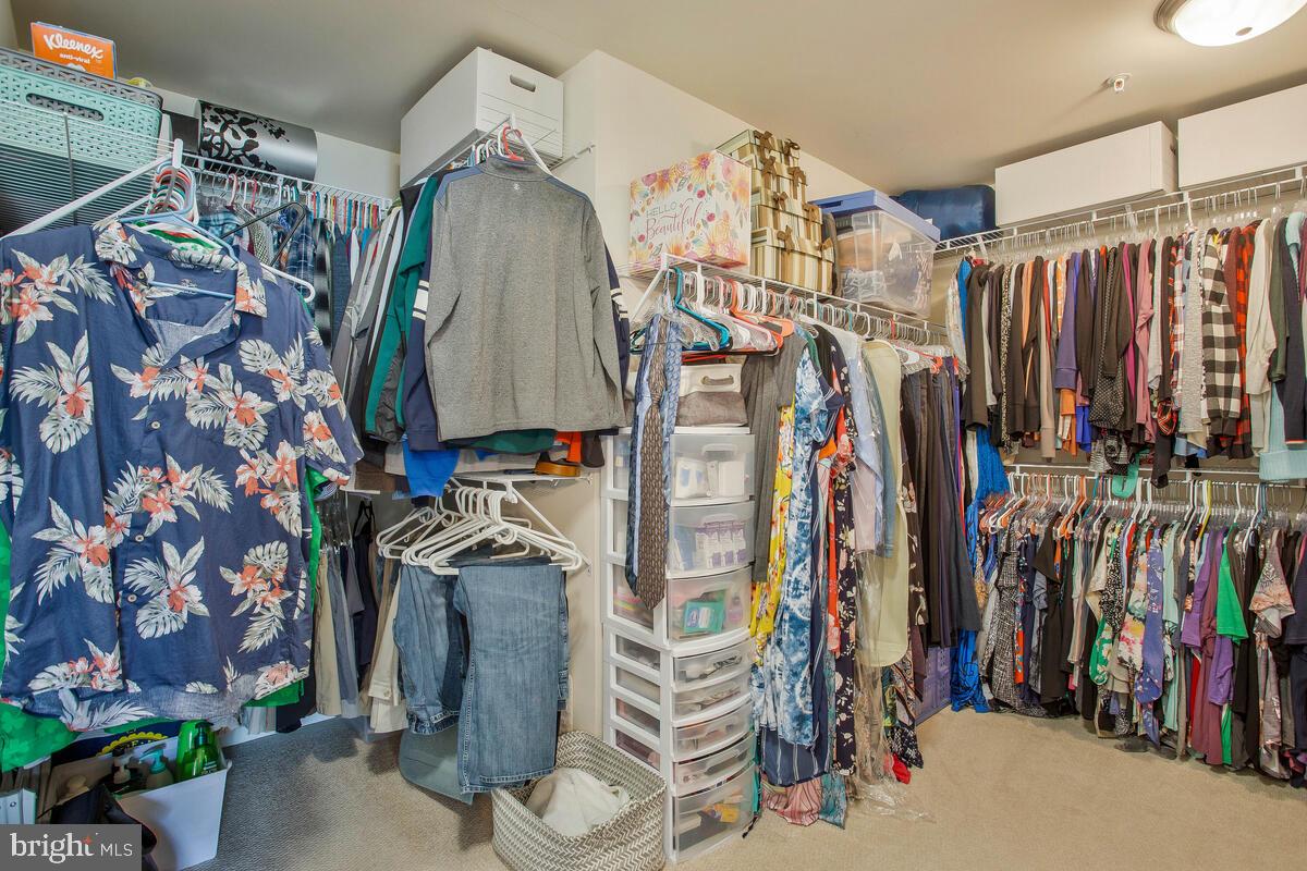 ELIZABETH HILLS - Residential