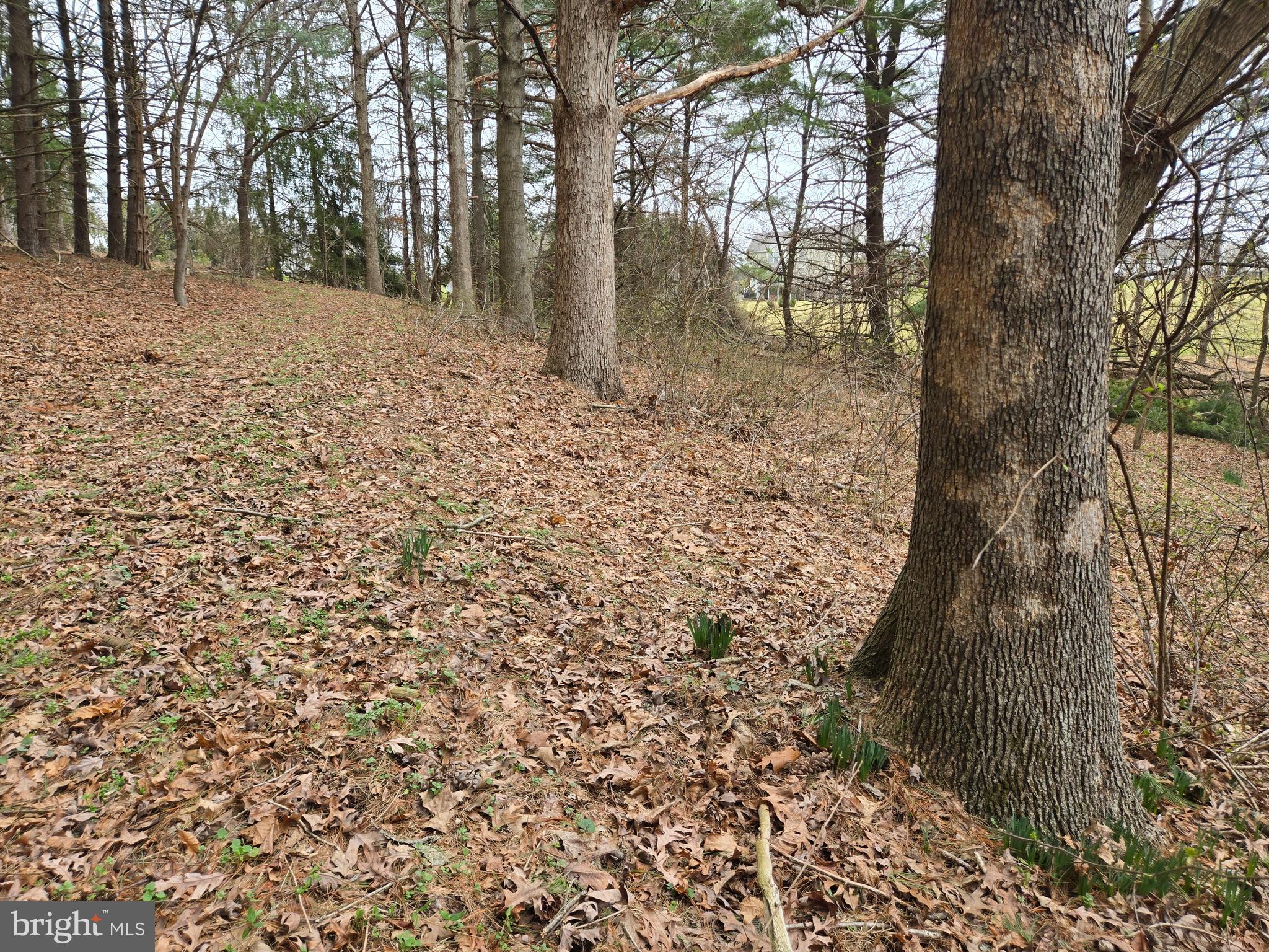 HARRISON HILLS - Residential