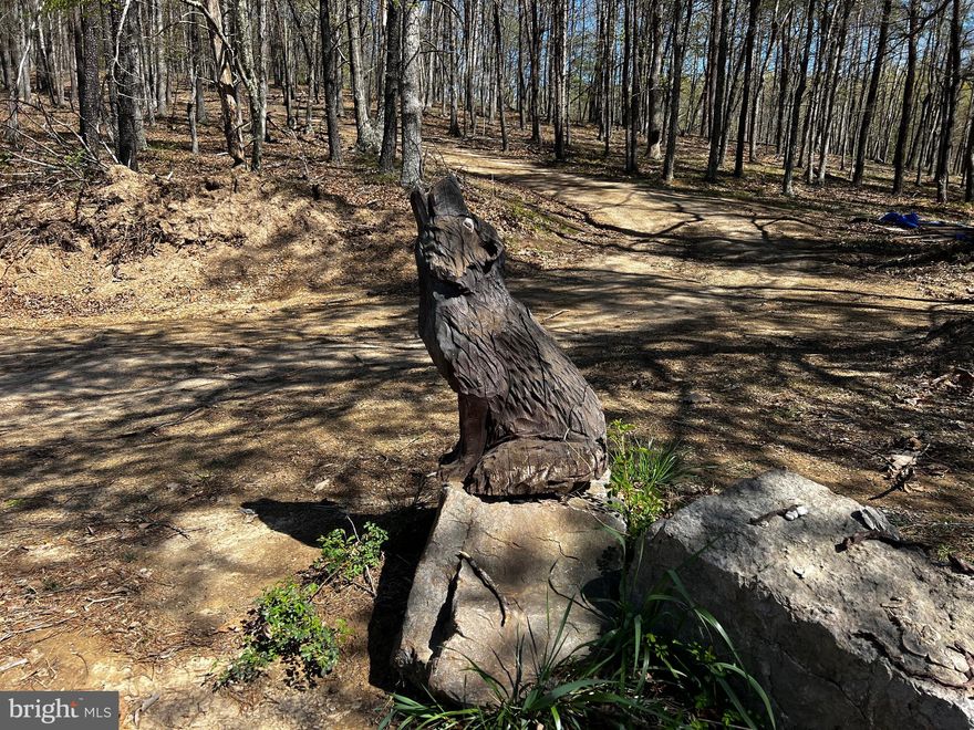 The cabin has been started and a lot of the materials are in place for completion of remaining shell! Amazing price! Driveway installed. Deer blind in place. This tract has easy access just off Trough Road and only 8 miles between you and the 4-lane; two hours to DC. Limited mountain views to the north and east. This 20.74 acre wooded tract has great hunting, rolling ridges, trails, small stream, and access to 10,675 acres of Nathaniel Mountain Wildlife Management Area. Less than two miles to access the South Branch of the Potomac for great bass fishing and scenic river excursions through the infamous "Trough".  An hour to Canaan Valley for skiing and more outdoor adventure, if the sixty-five miles of interior Ashton Woods roads are not enough!