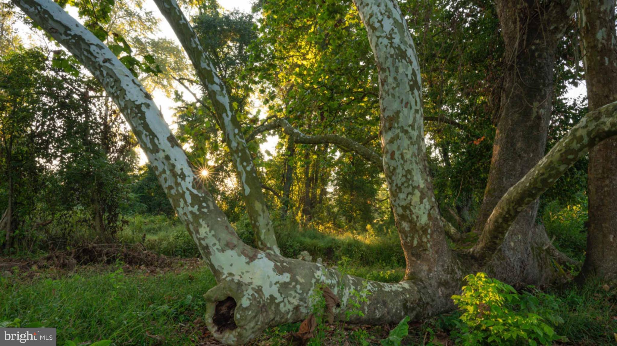 MONKTON - Residential