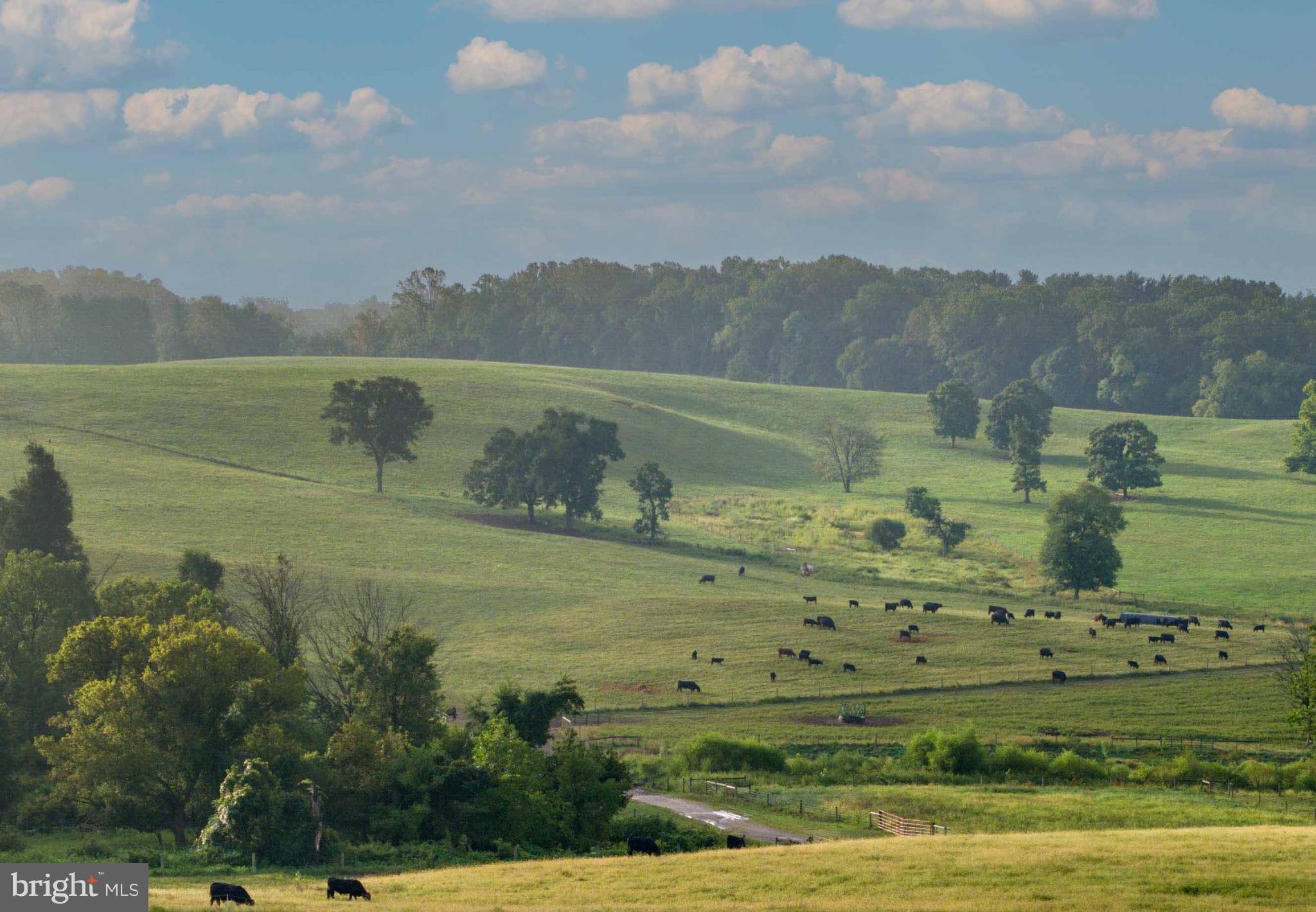 MONKTON - Residential