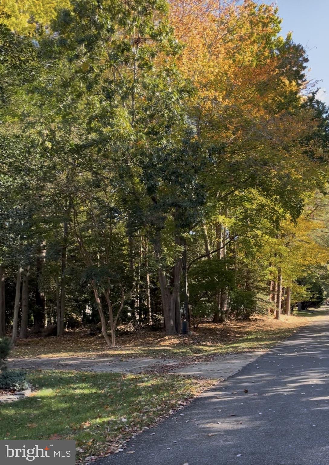 MALLARD CREEK - Land