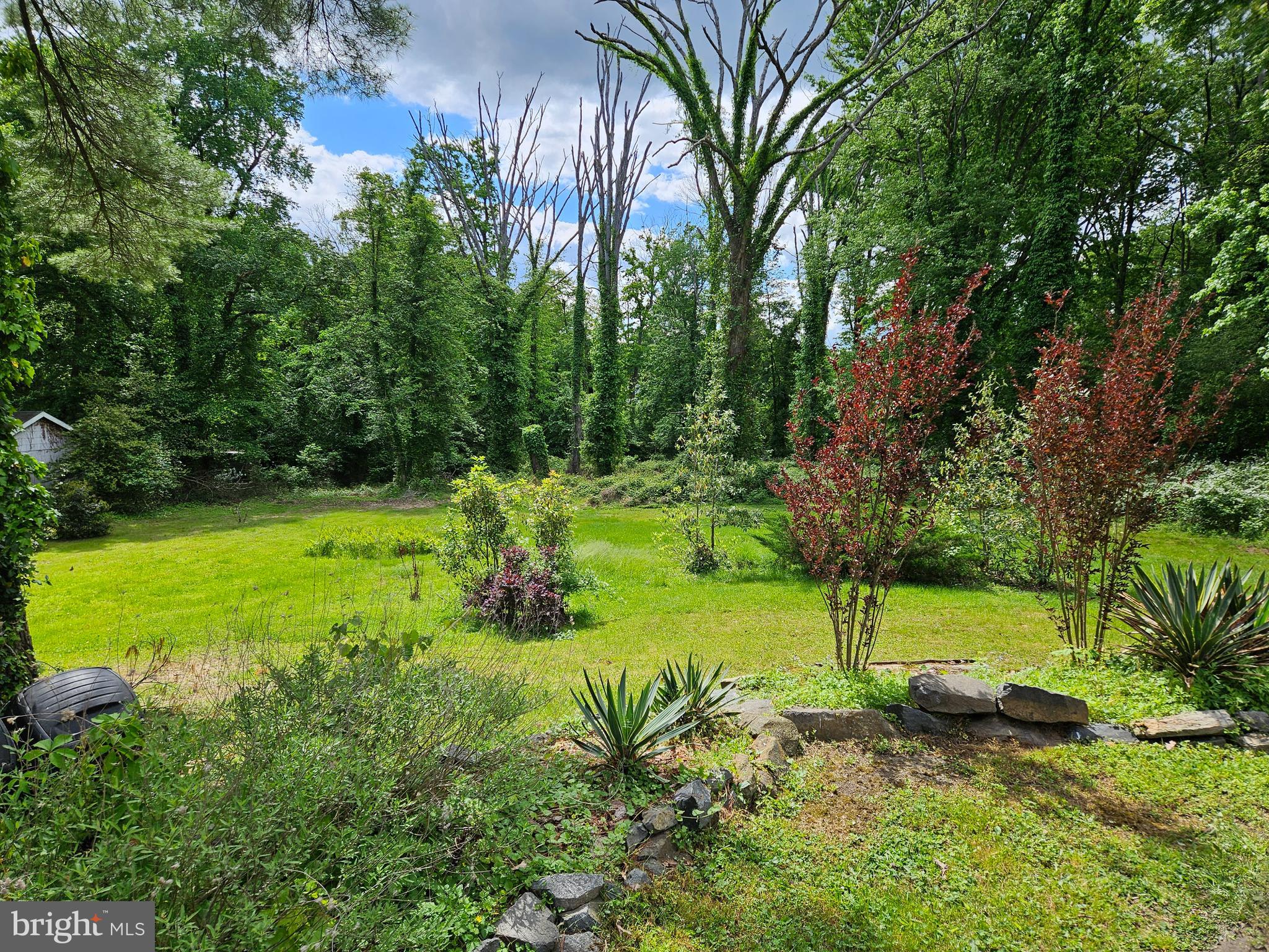 CIPRIANO SPRINGS - Residential