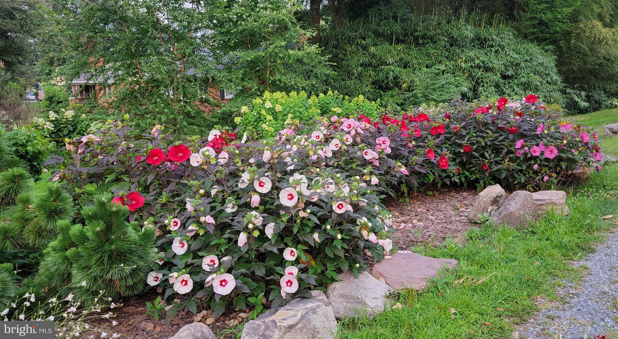 CIPRIANO SPRINGS - Residential