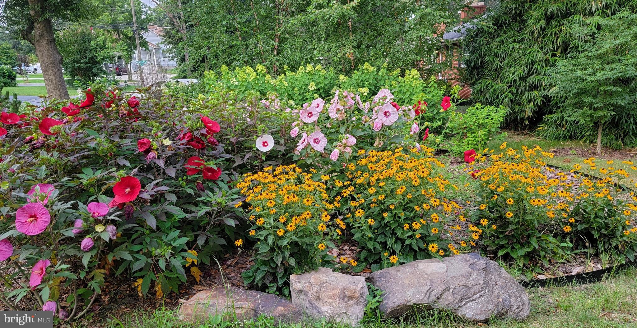 CIPRIANO SPRINGS - Residential