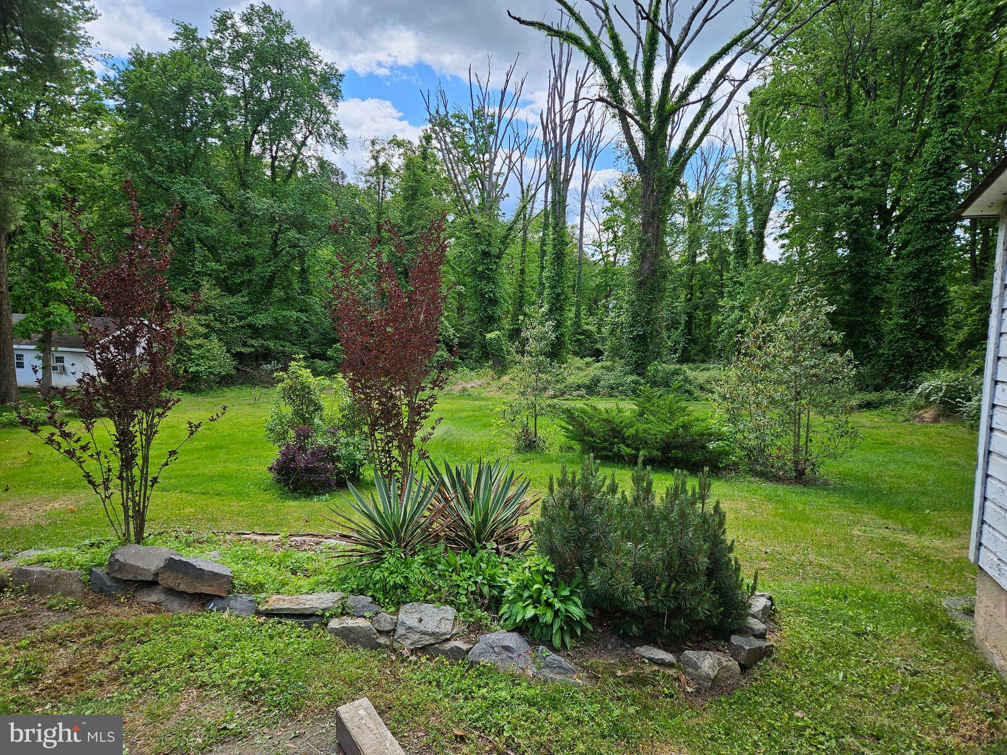 CIPRIANO SPRINGS - Residential