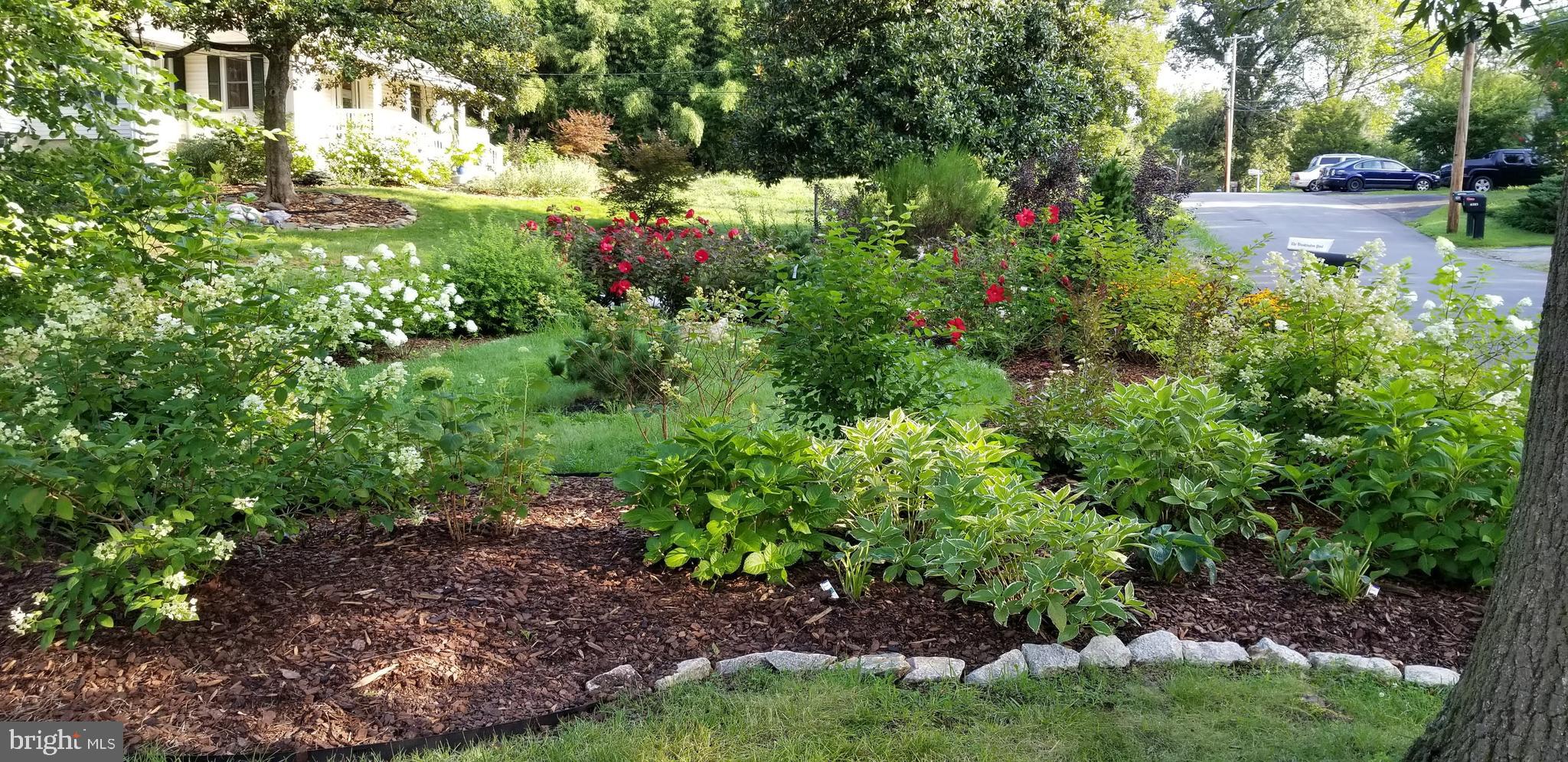 CIPRIANO SPRINGS - Residential