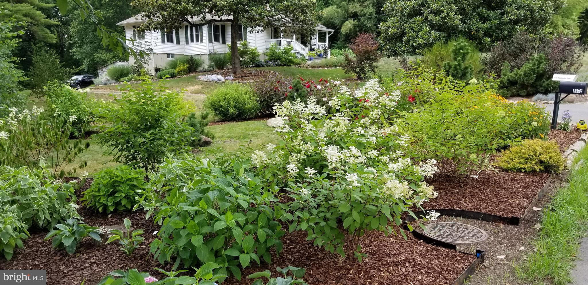 CIPRIANO SPRINGS - Residential