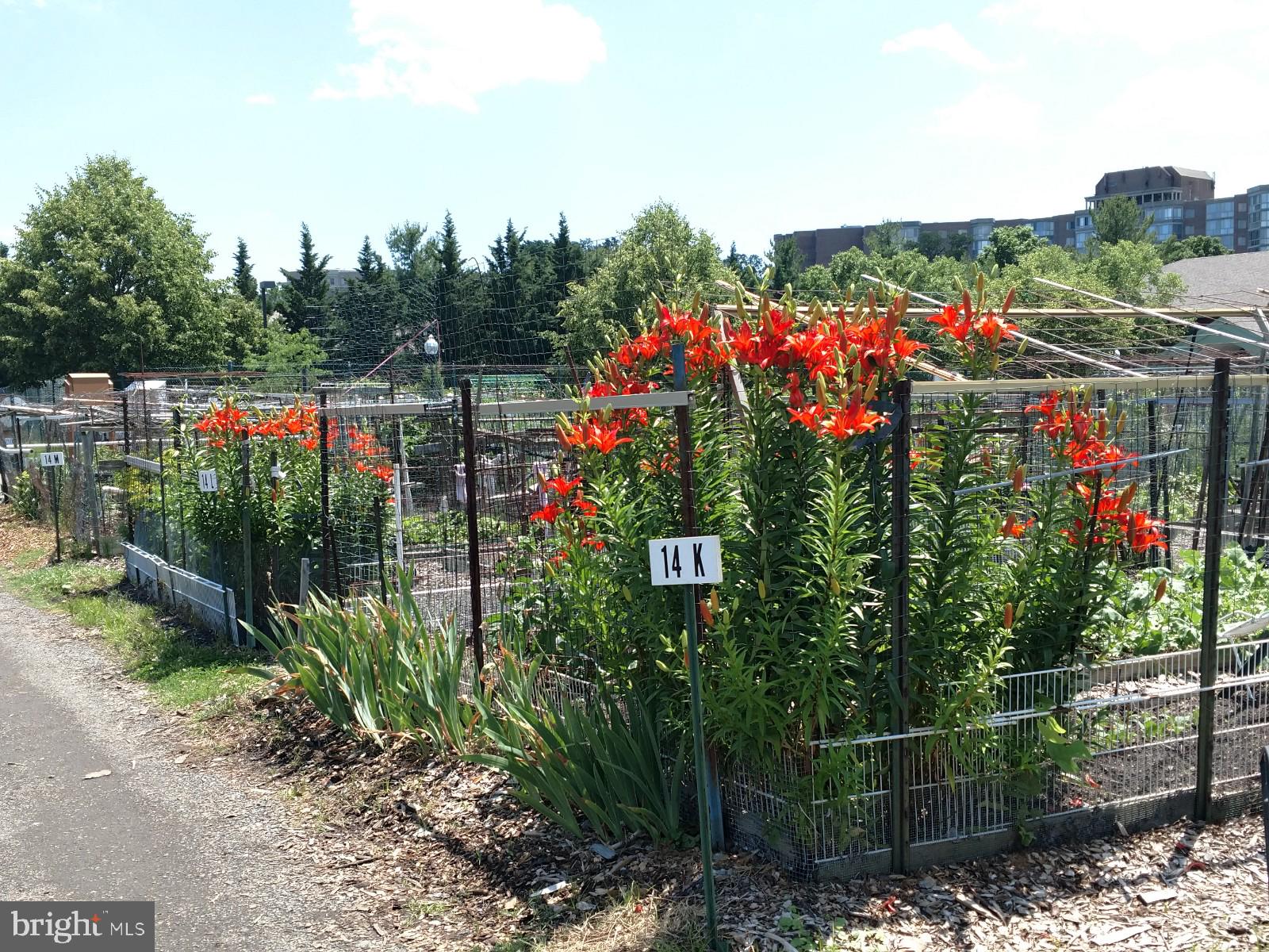 ROSSMOOR MUTUAL #11 - Residential