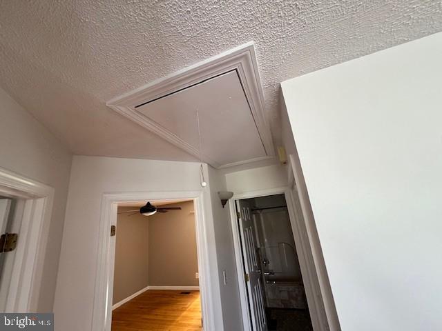 GLEN ARM - Residential