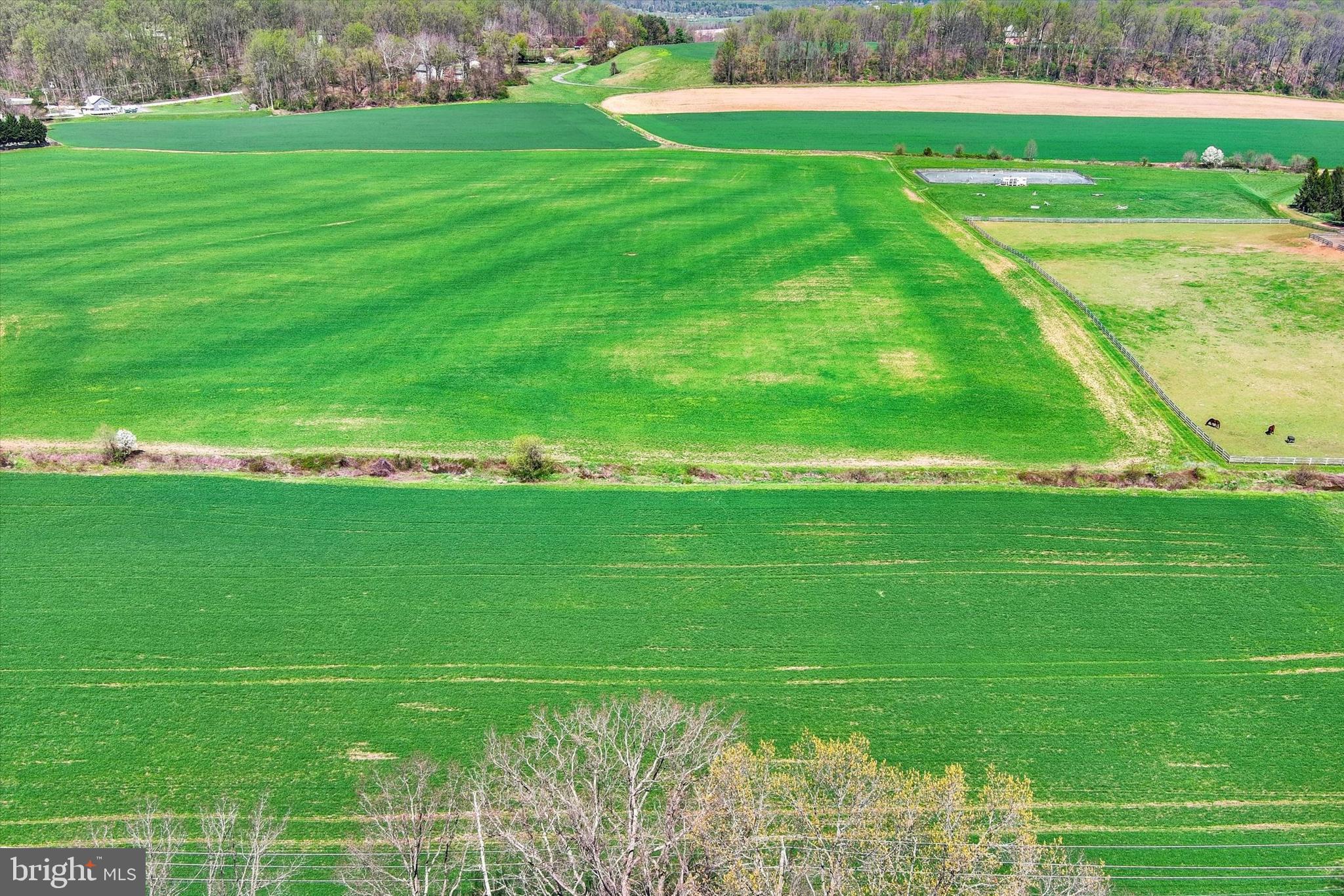 GLEN ARM - Residential